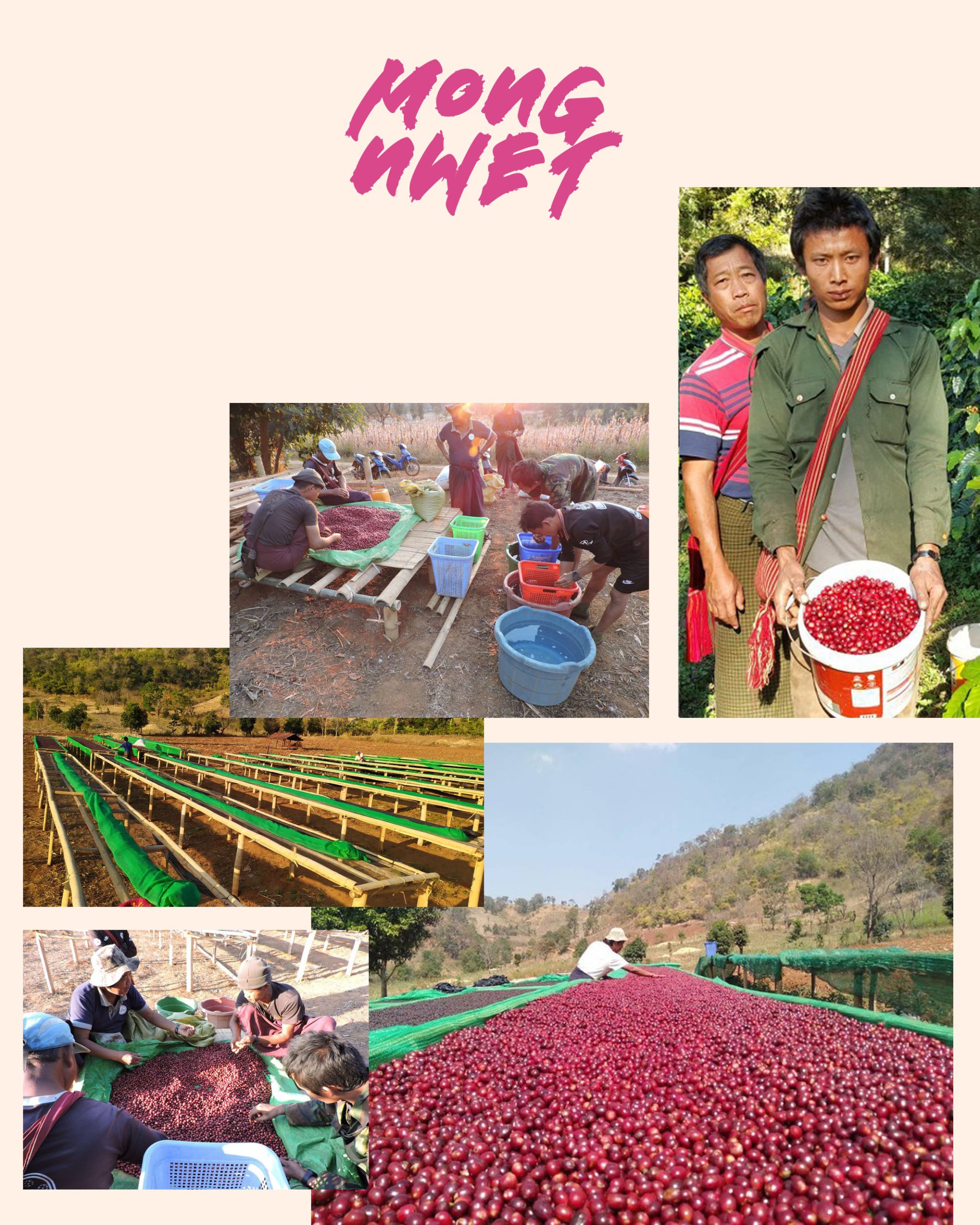 Myanmar pics