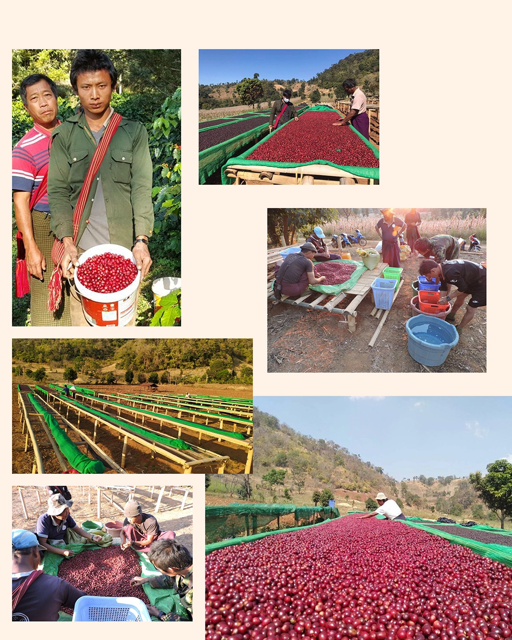 Hopong natural farm