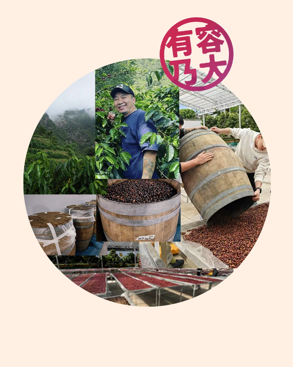 SAGH zuoyuan maner China coffee anaerobic natural