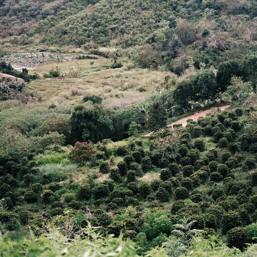 Origin map