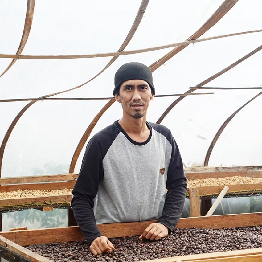 Hendra Maulizar farm