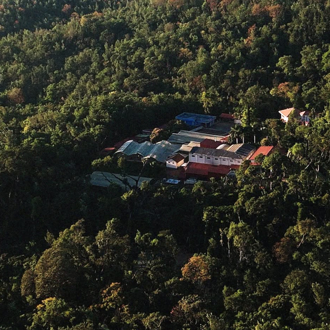 Ratnagiri Estate in the Western Ghats