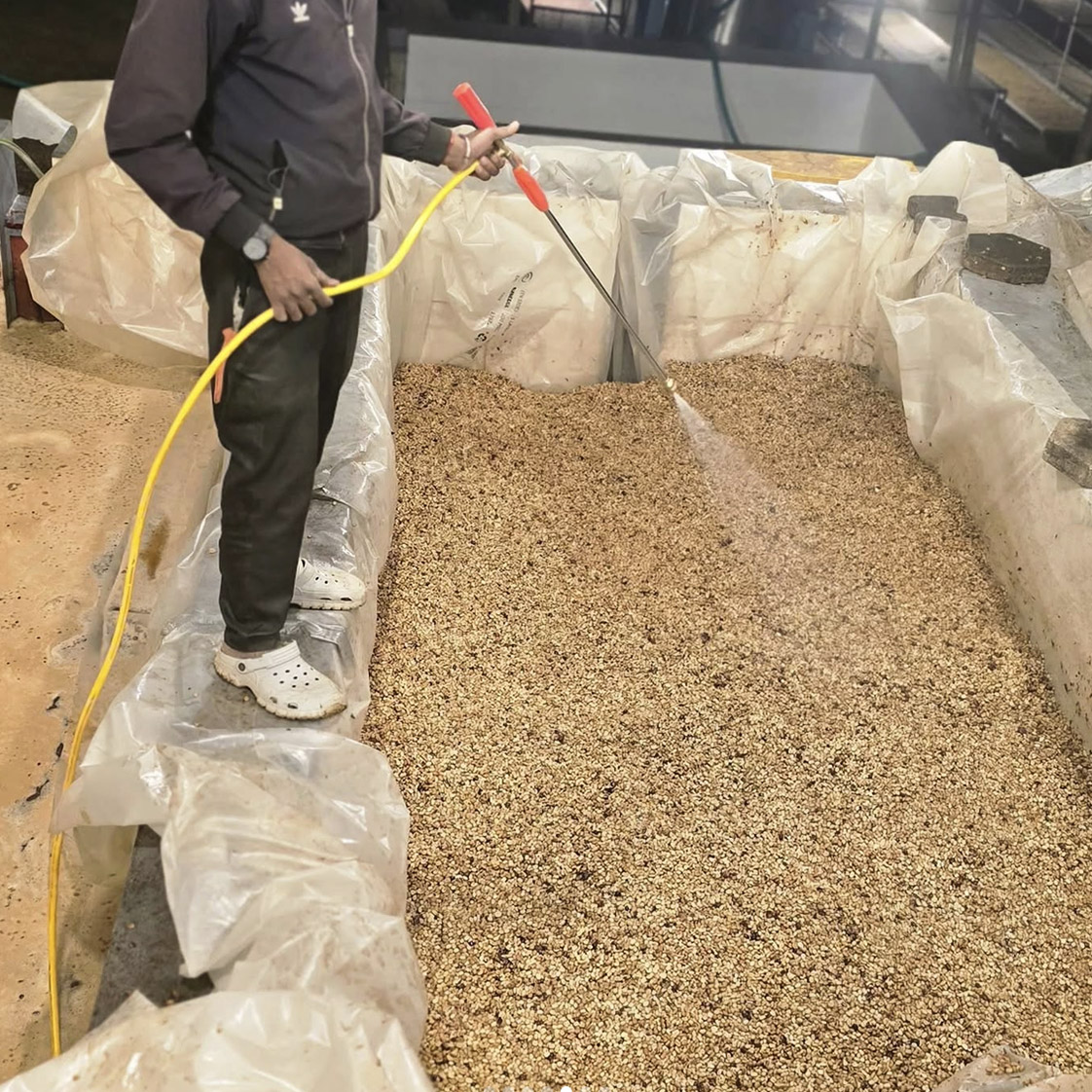 Hydro Honey processing at Ratnagiri Estate